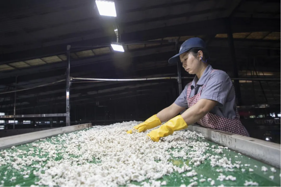 1783038684709000380.jpg 1783038684709000380.jpg
